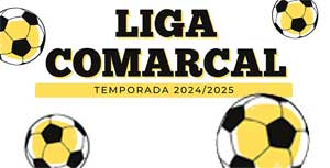 Liga Comarcal